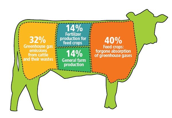 meat-global-warming